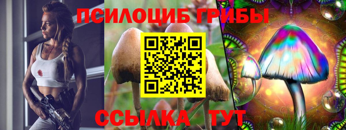 Муром  Псилоцибиновые грибы GOLDEN TEACHER  Вход с VPN 