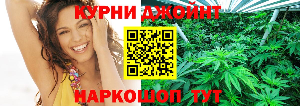 Муром  Бошки марихуана гибрид  Каннабис семена  Канабис VHQ  Вход с VPN 